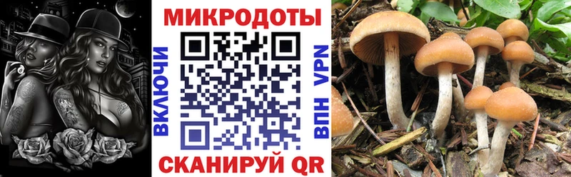 Псилоцибиновые грибы мухоморы  где можно купить   Котельниково 